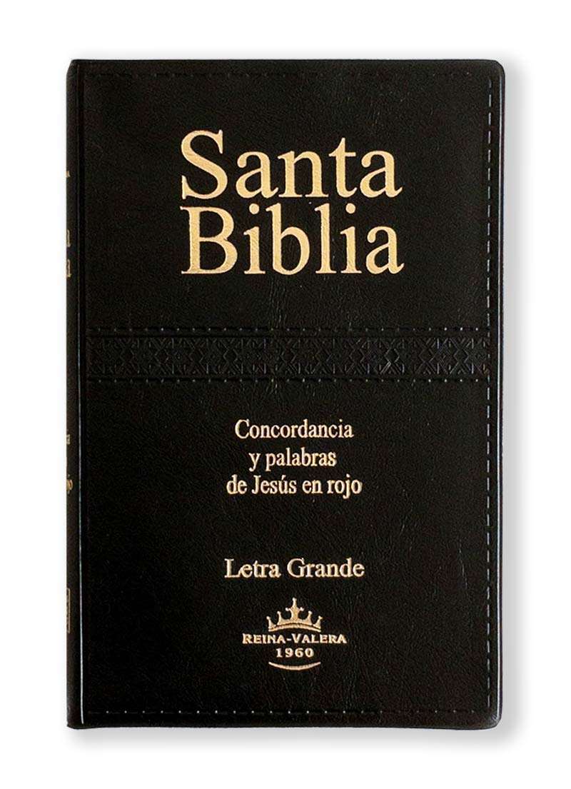 Biblia Letra Grande Tapa Vinilica Borde Dorado