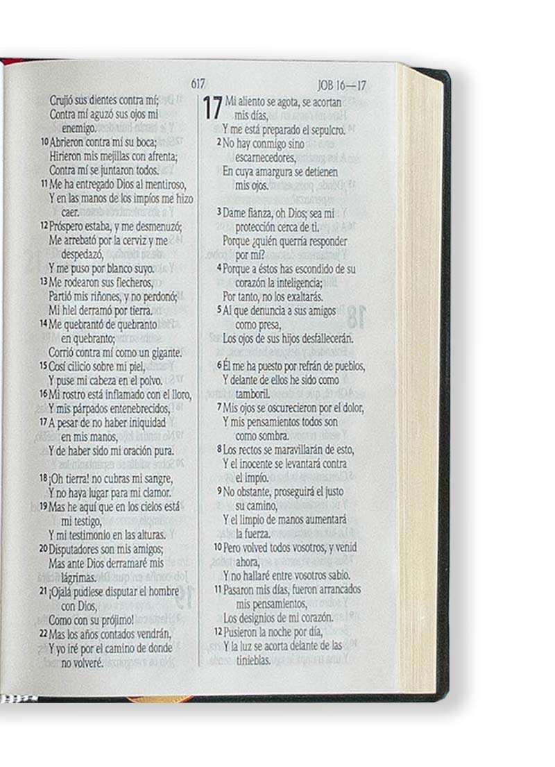 Biblia Letra Grande Tapa Vinilica Borde Dorado - Imagen 2