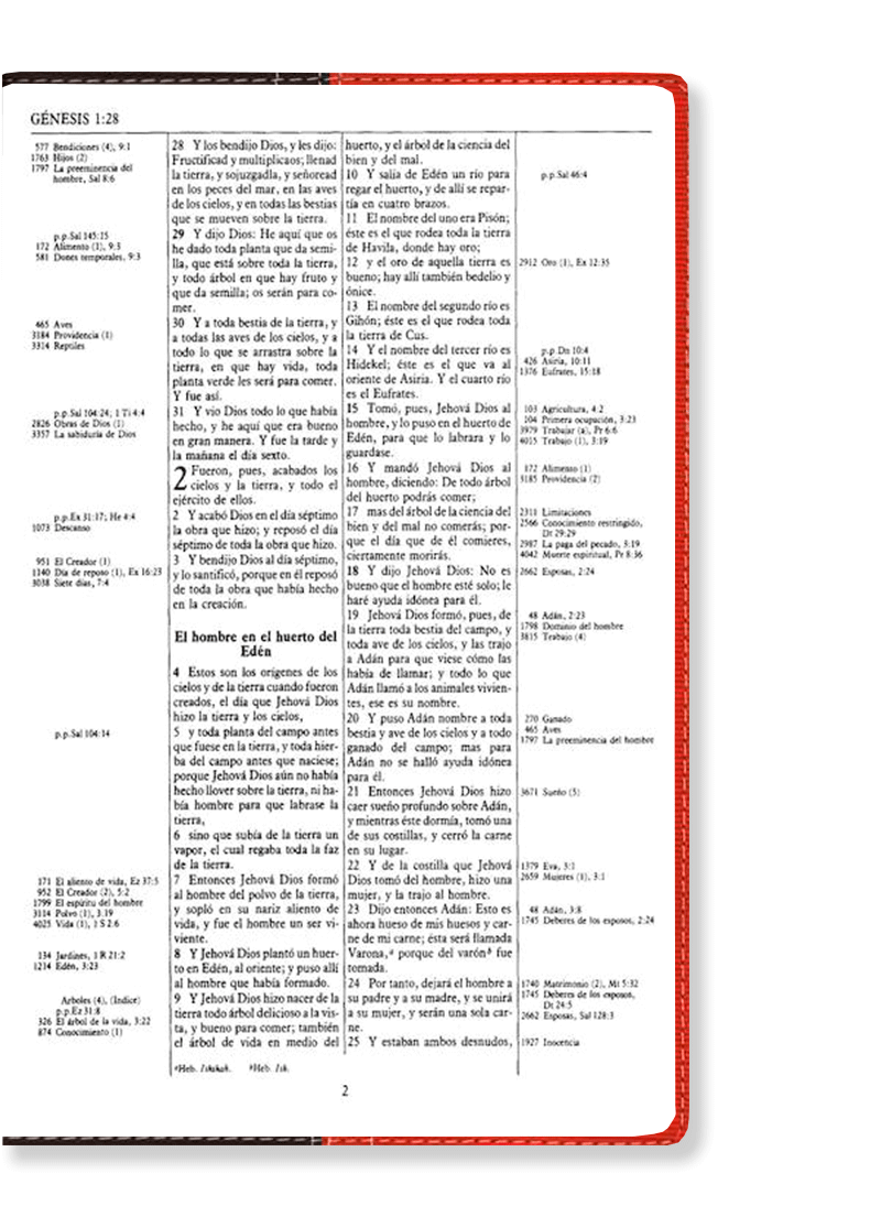 Biblia Referencia Thompson Duo Tono Marrón/Terracota - Imagen 3