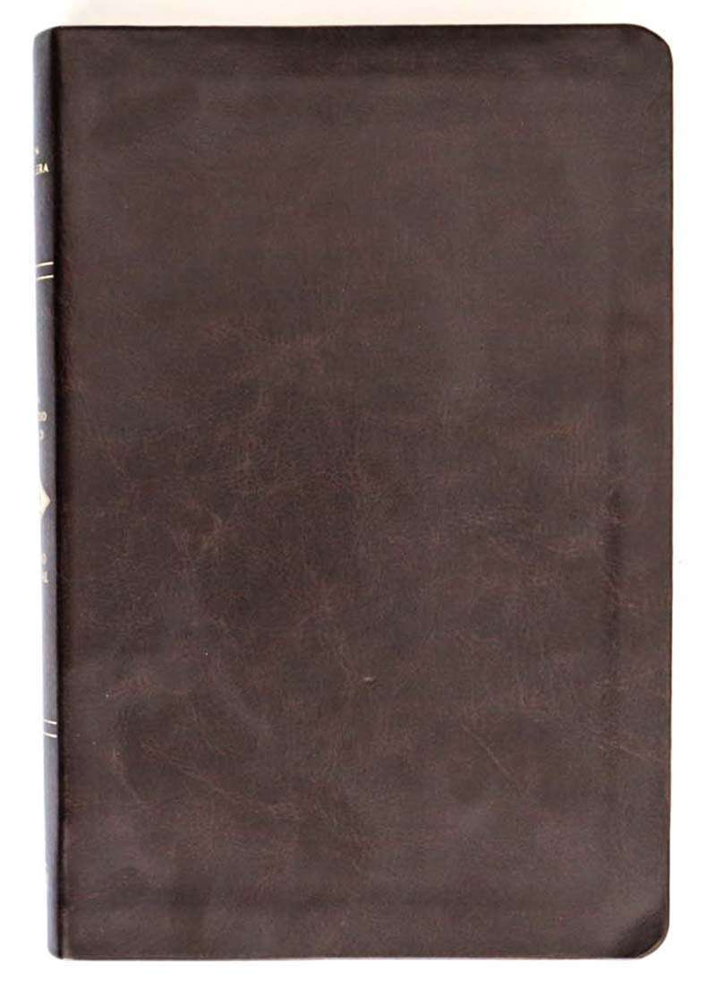 Biblia de Estudio Scofield / Tamaño Persona - Chocolate Oscuro - Imagen 2