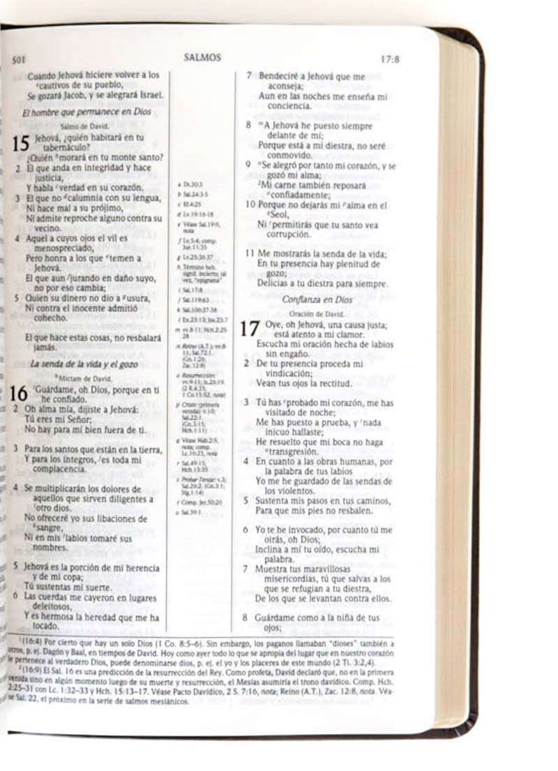 Biblia de Estudio Scofield / Tamaño Persona - Chocolate Oscuro - Imagen 3