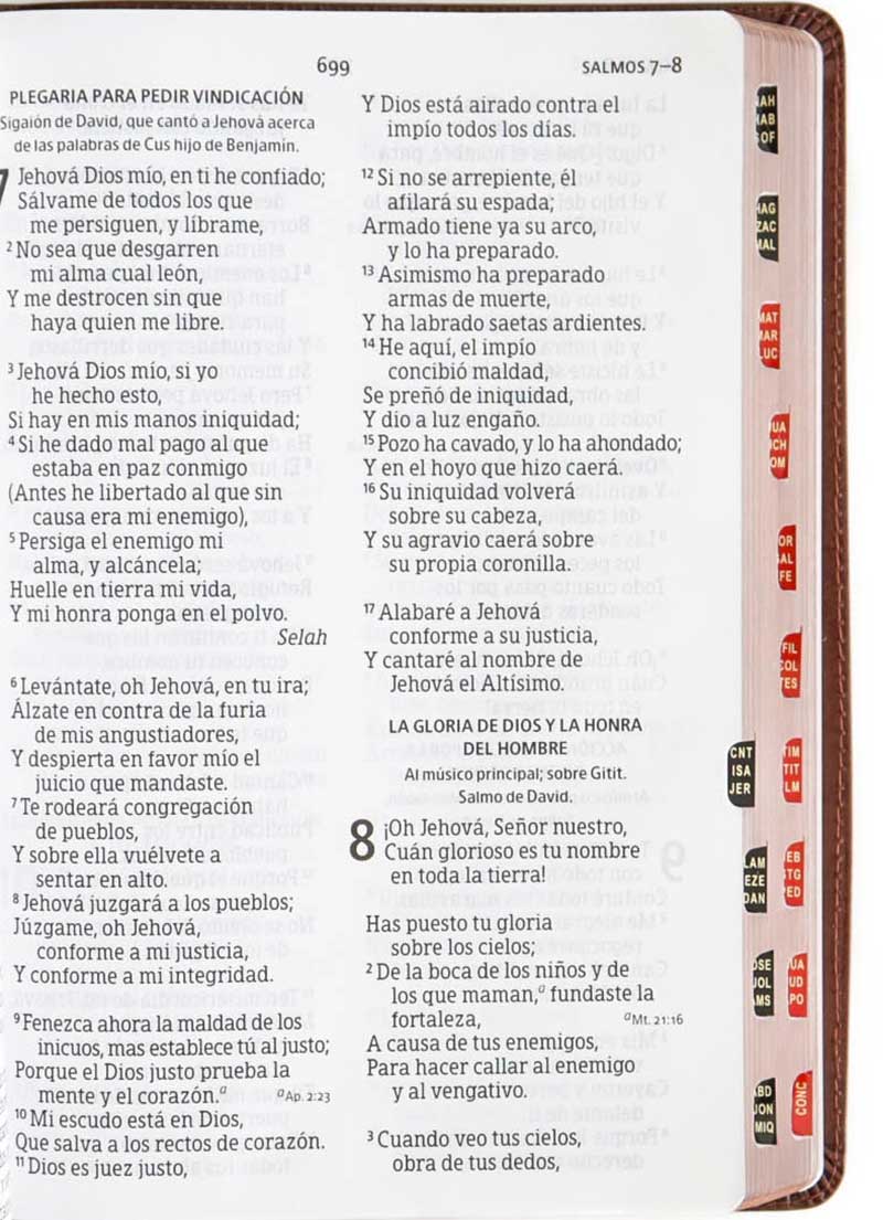 Biblia Letra Gigante Marron Indice - Imagen 3