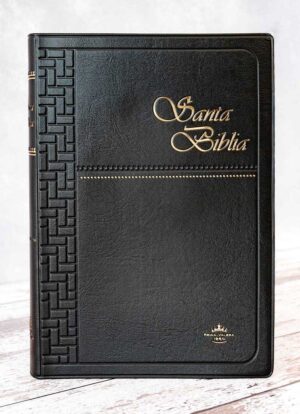 Biblia Manual Vinil Negro RVR1960