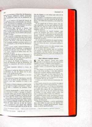 Biblia Manual Vinil Negro RVR1960