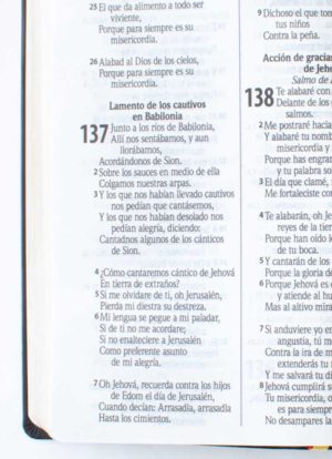 Biblia Simil Piel Letra Supergigante / Negro