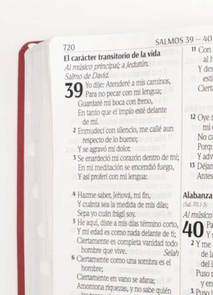 Biblia letra supergigante y palabra de Jesus en rojo / fucsia