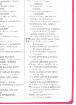 Biblia Letra Gigante Imitación piel Rosa