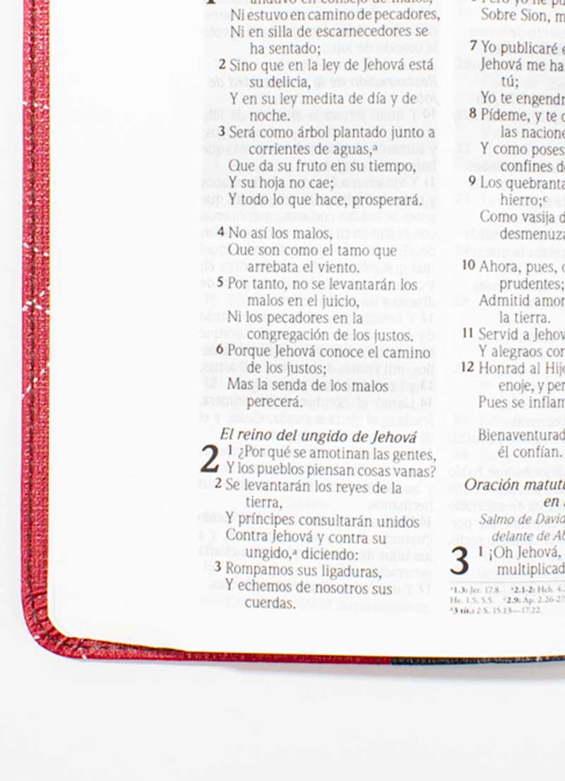 Biblia de promesas Compacta Piel especial / Gris-Roja - Imagen 2