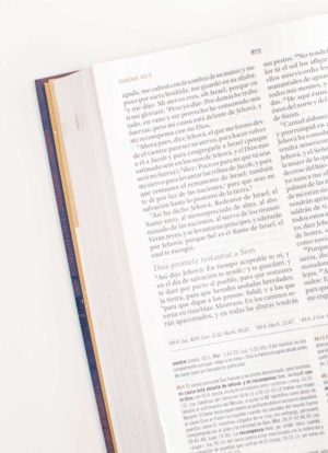 Biblia de Estudio para Mujeres / Lila Tapa Dura