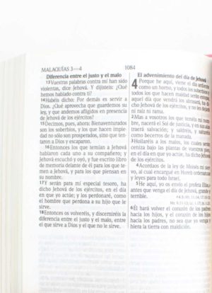 Santa Biblia 