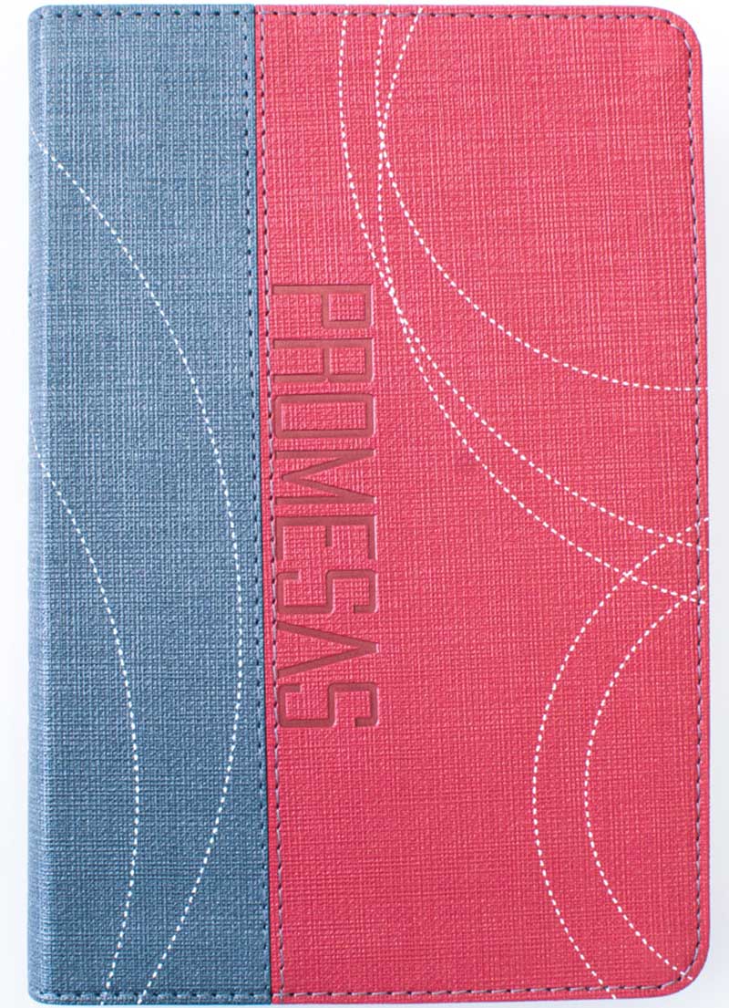 Biblia Promesas Edicion para jóvenes / Burdeo
