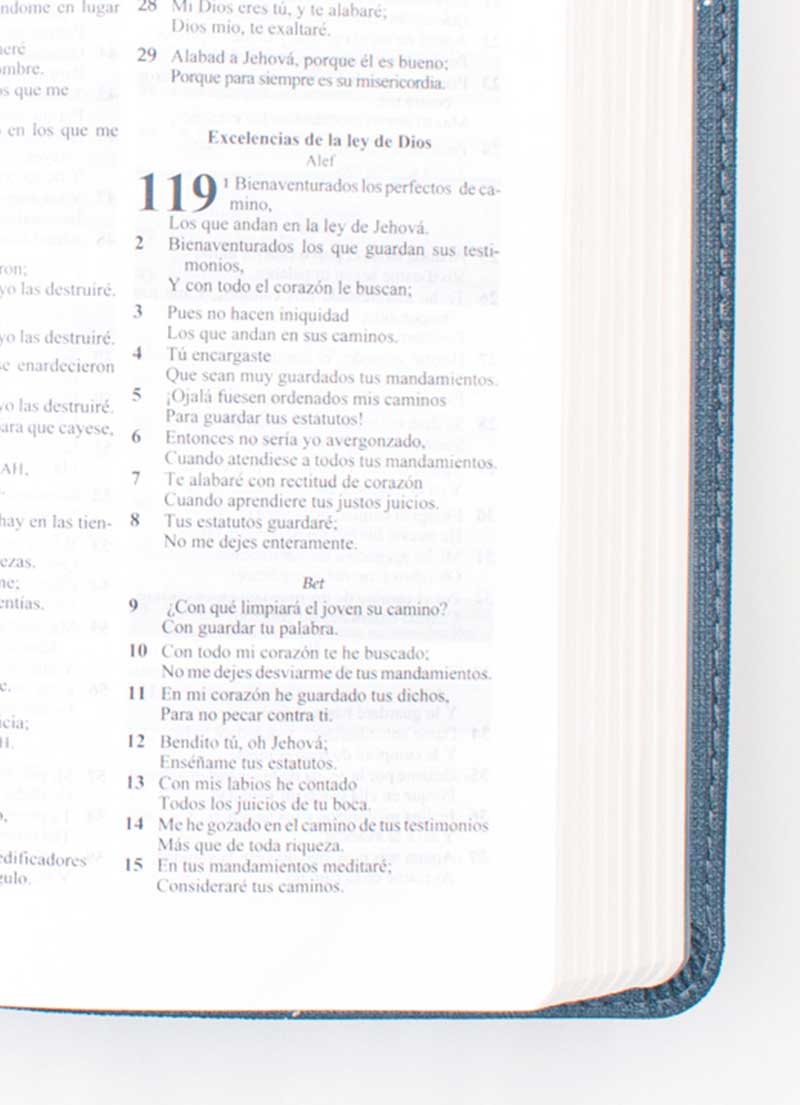 Biblia Promesas Edicion para jóvenes / Burdeo - Imagen 2