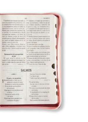 Biblia Manual Letra Grande Tricolor Rosa