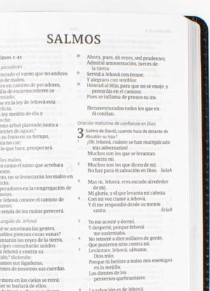 Biblia del Ministro