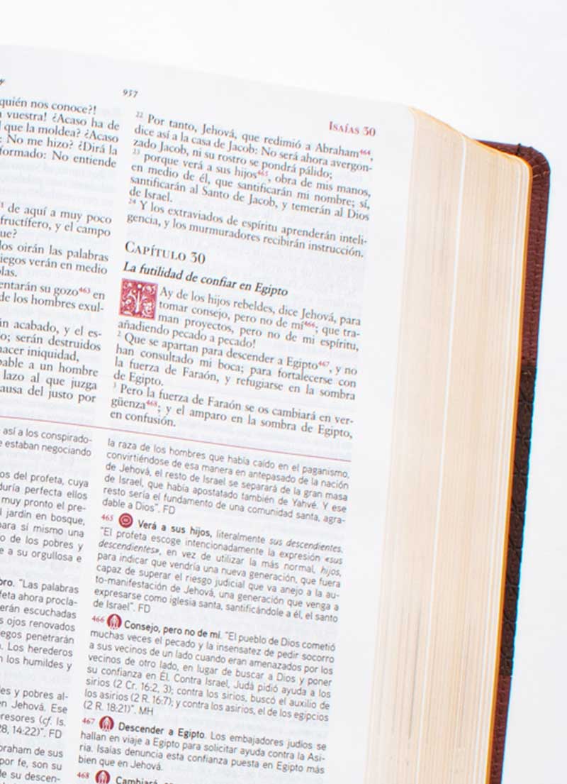 Biblia de Estudio Matthew Henry / Simil Piel - Imagen 2