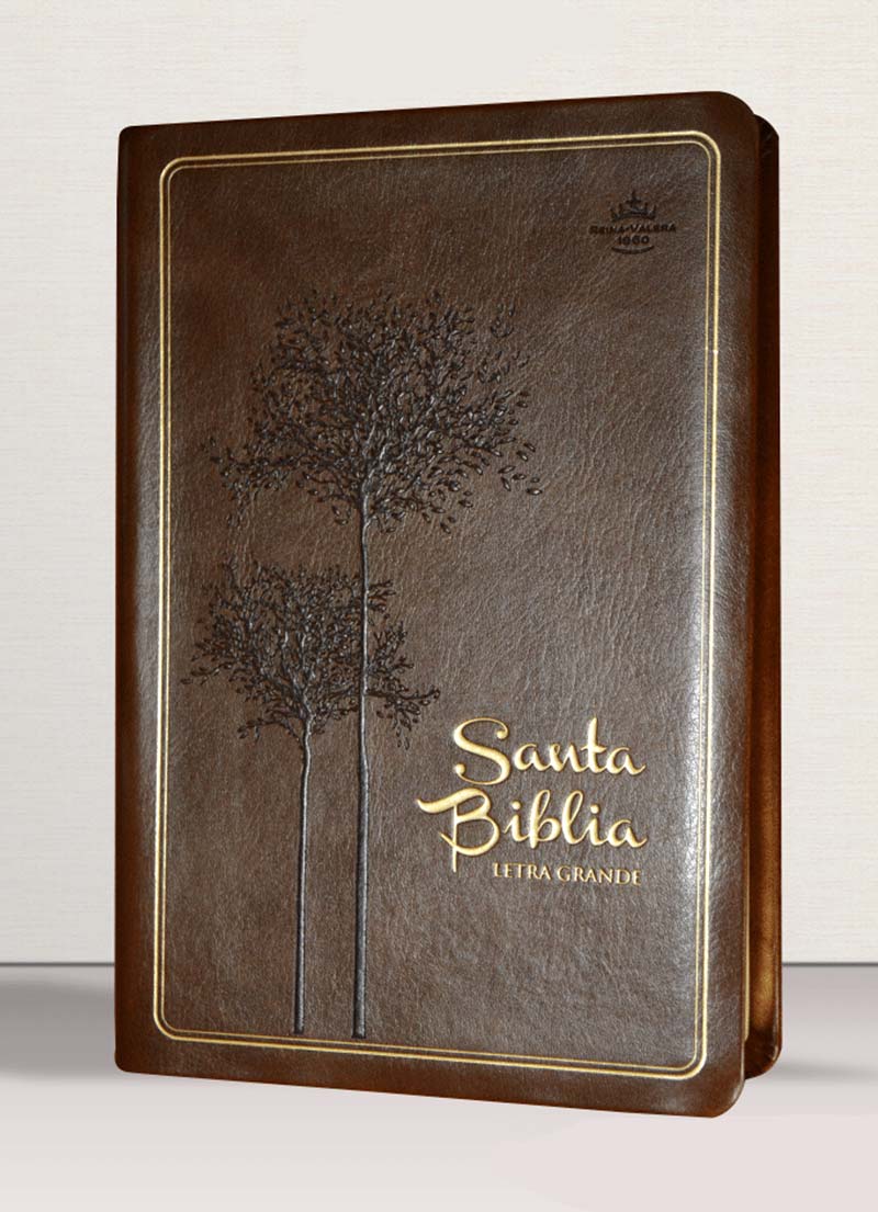 Biblia de estudio del diario vivir RVR60, letra grande SentiPiel Café