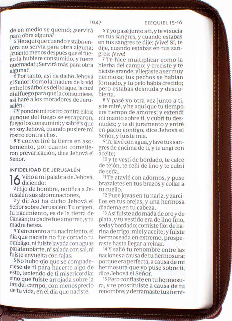 Biblia Letra Super Gigante / Café Cierre - Imagen 2