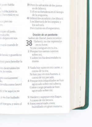 Biblia Tapa Suave Verde / Letra Gigante