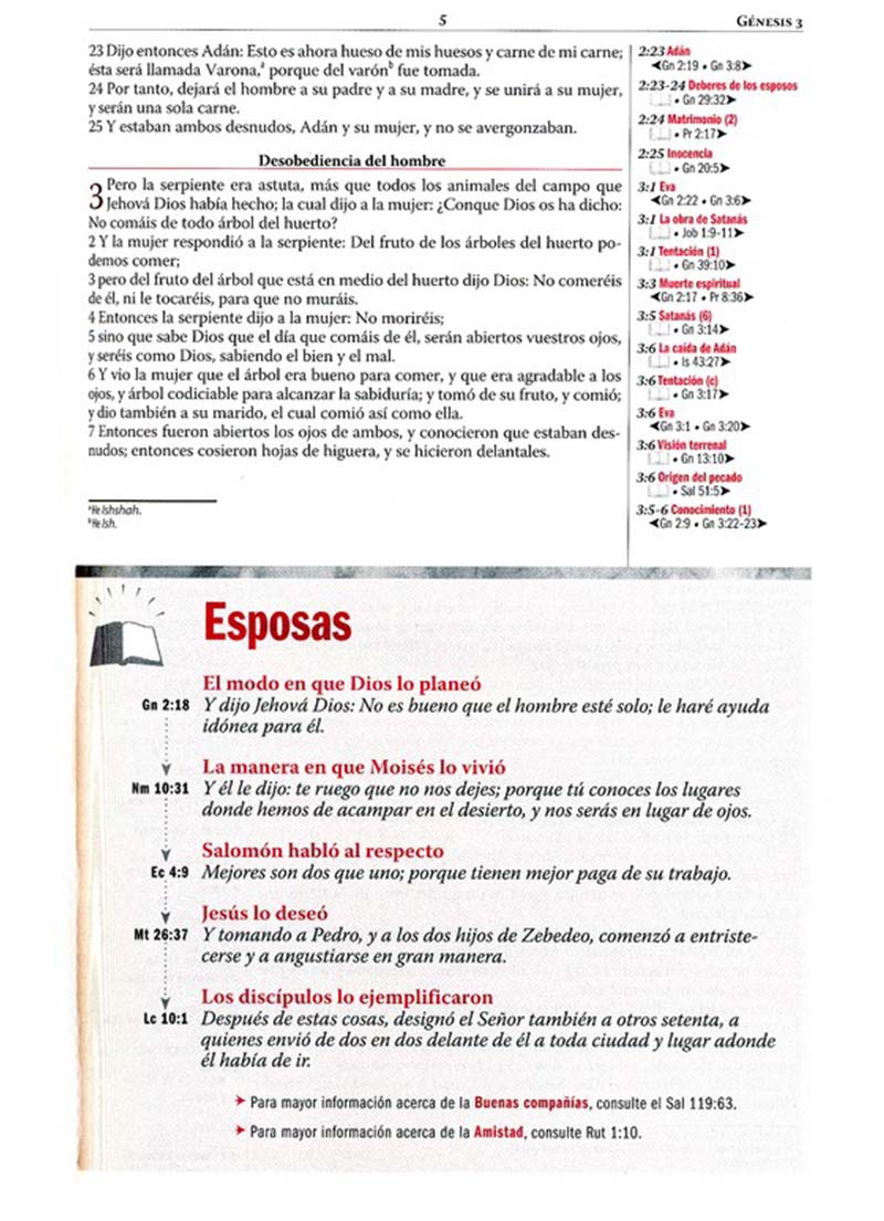 Biblia Thompson Edición Tapa Dura / Tapa Dura - Imagen 3