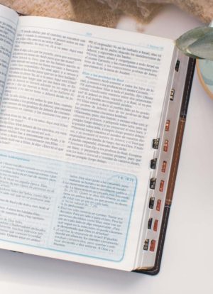 Biblia para la predicación / Letra Grande