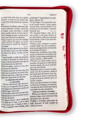 Biblia Letra Grande / Rosa