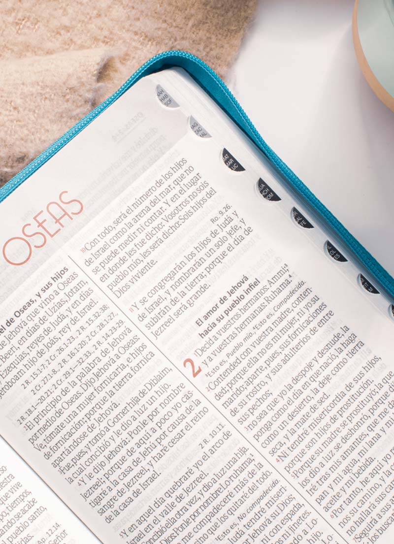 Biblia Flexible Turquesa / Letra Gigante - Imagen 2