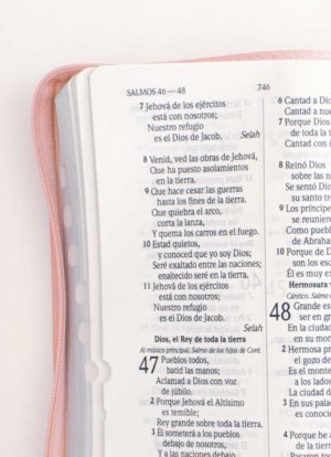Biblia Letra Grande Concordancia Ampliada Rosada Con Cierre
