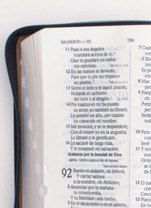 Biblia Letra Grande Marron Con Cierre