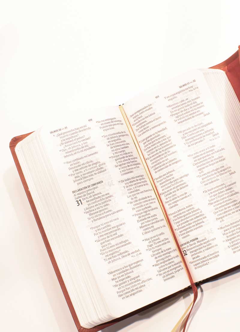 Biblia Chequera Con Broche Roja - Imagen 2