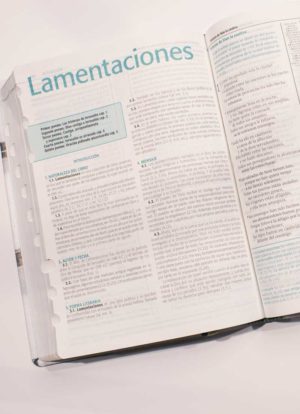 Biblia de Estudio Esquematizada