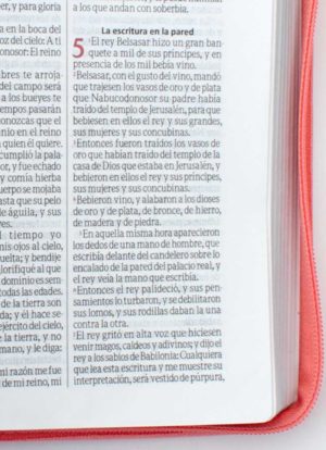 Biblia rosada beige