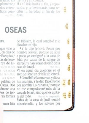 Biblia Letra supergigante Marron Imitacion piel