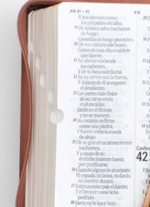 Biblia Letra grande 11pt Marron duo