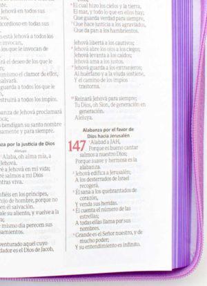 Biblia blanca con mariposas