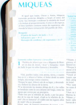 Biblia para la Predicación Negra con Cierre