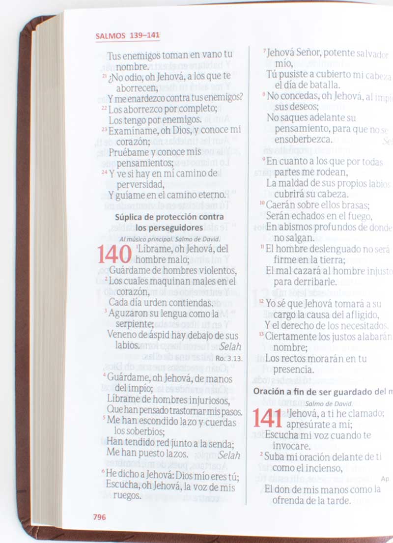 Biblia Letra Gigante Cafe - Imagen 2
