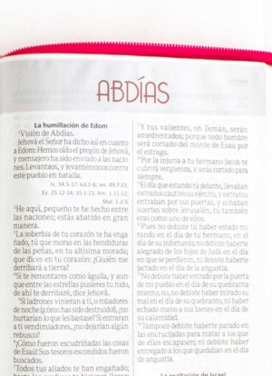 Biblia Letra Gigante Fucsia/Rosa con Cierre