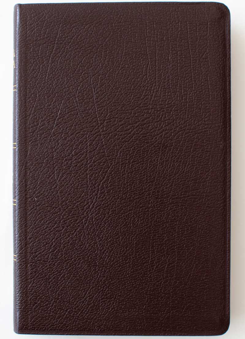 Biblia Para La Predicación De Avivamiento Rvr60 Concordancia canto dorado