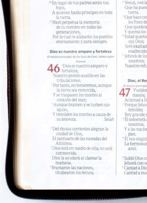 Biblia Letra Gigante Beige/Cafe Con Cierre