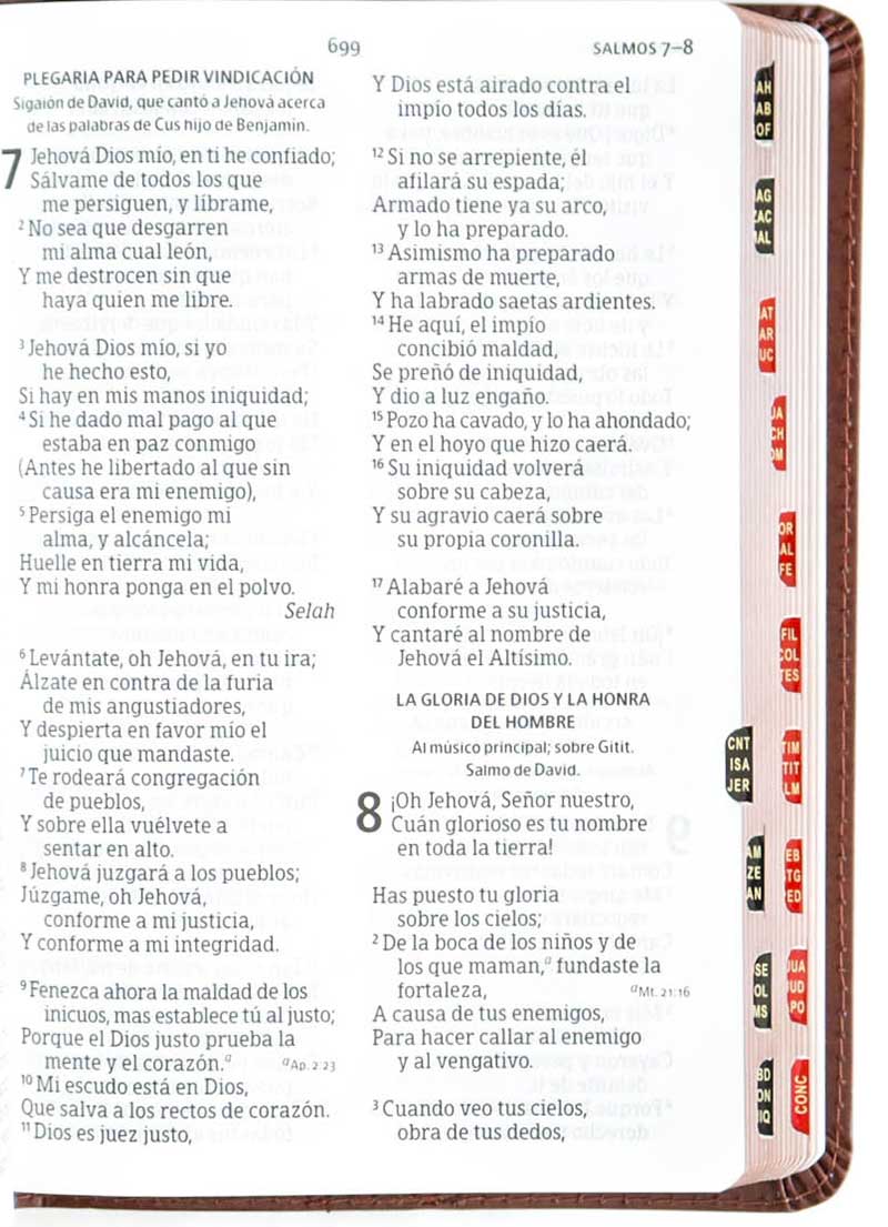Biblia Letra Grande Tamano Manual marron con Indice - Imagen 3