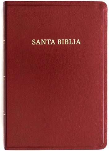 Biblia Letra Grande Manual Borgoña Indice - Imagen 2