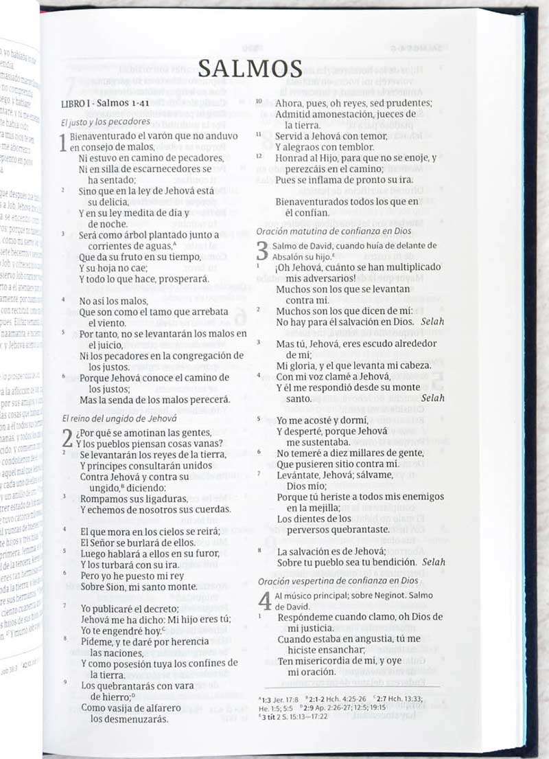 Biblia Ultrafina Bordado / Azul - Imagen 3