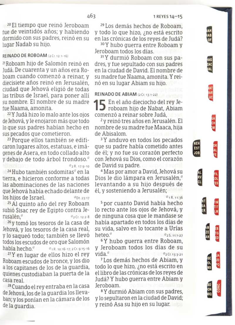 Biblia Letra Gigante Bordado Indice / Azul - Imagen 3