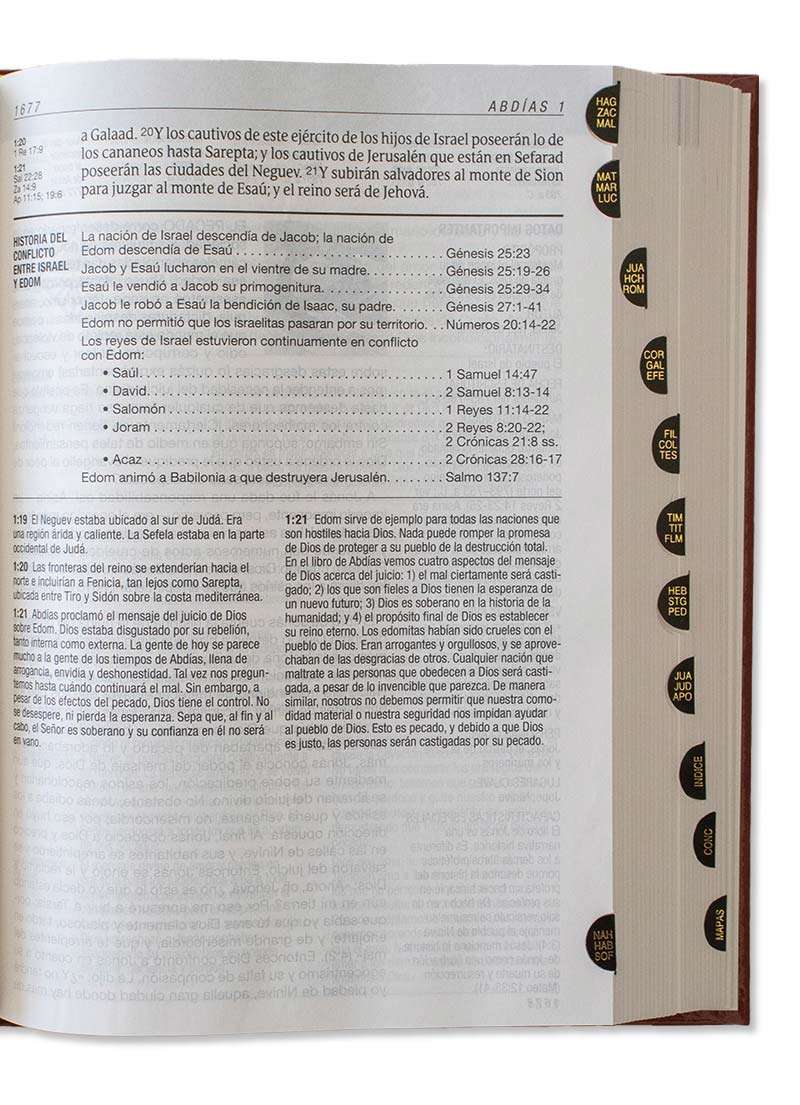 Biblia de Estudio Diario Vivir Letra Grande Tapa Dura - Imagen 3