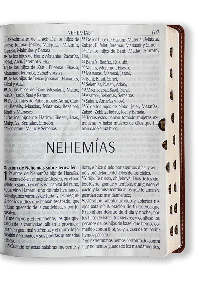 Biblia Letra Supergigante 18 puntos Marron - Imagen 2