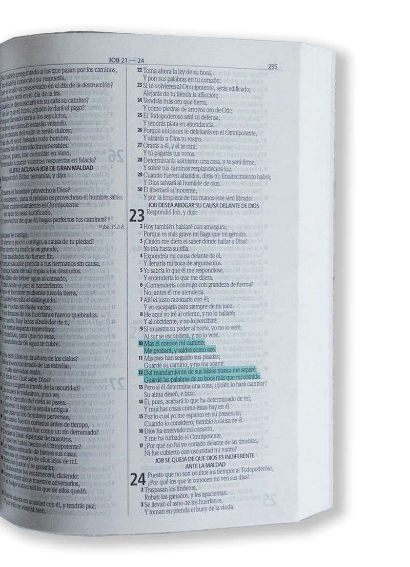 Santa Biblia fuente de bendiciones - Imagen 2