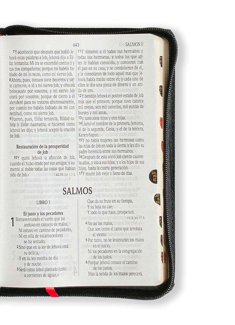 Biblia Letra Grande Manual Negro con Cierre - Imagen 2