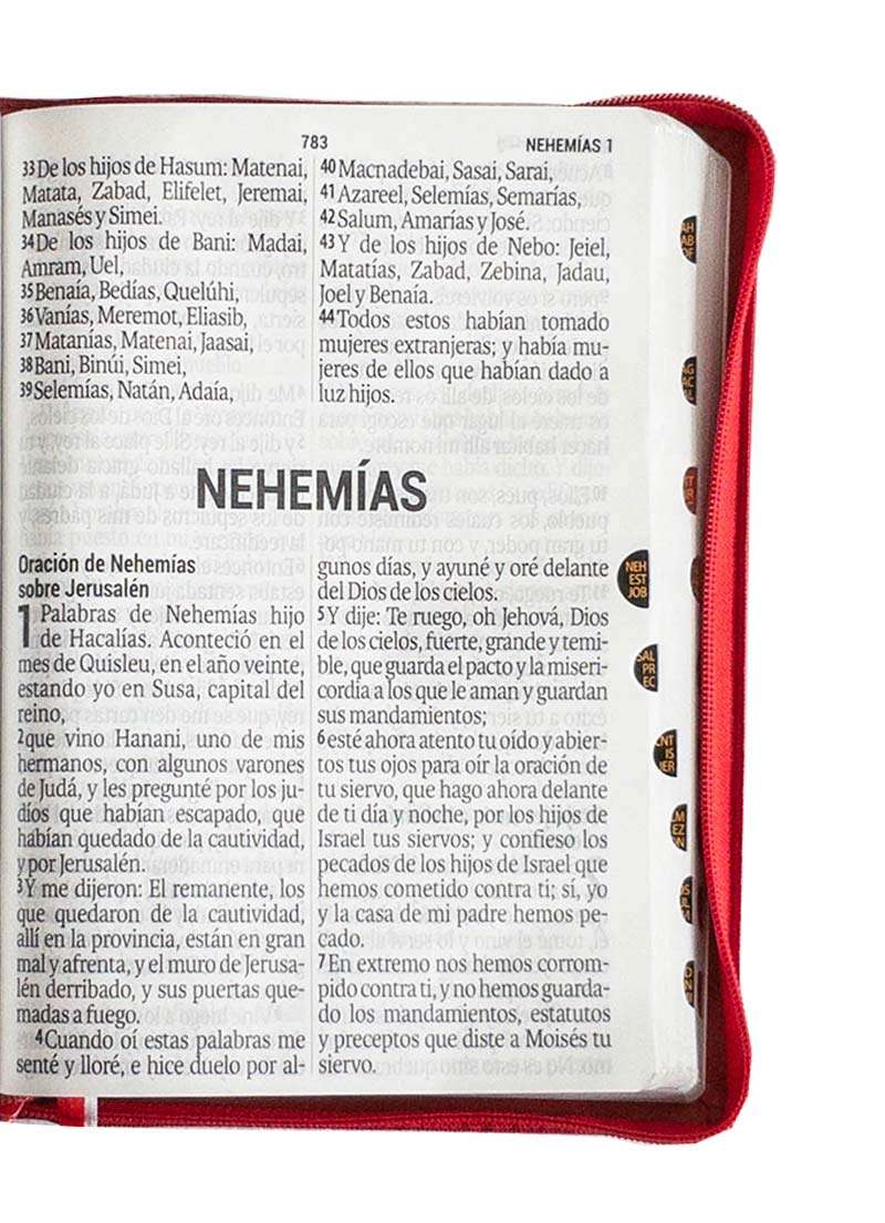Biblia Letra Supergigante 19 puntos Roja - Imagen 2