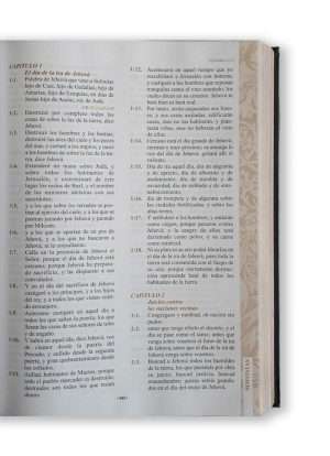 Biblia de pulpito