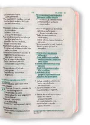 Biblia Fuente de Bendiciones Compacta Rosa